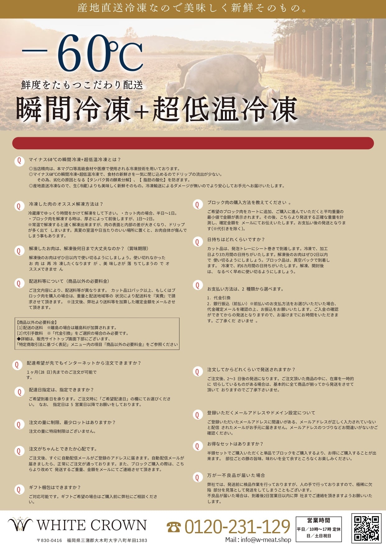 WHITE CROWNサイトの説明パンフレット 10部