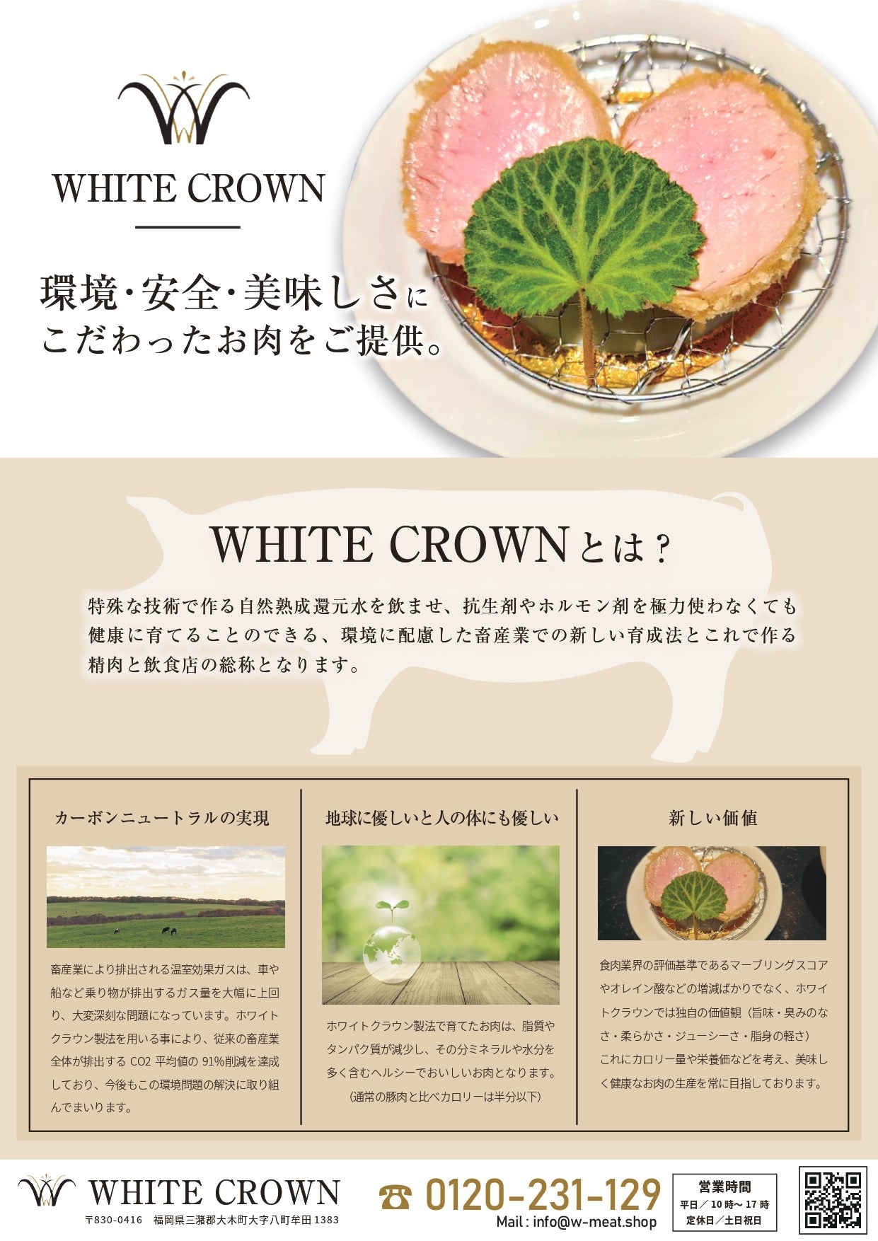WHITE CROWNサイトの説明パンフレット 10部